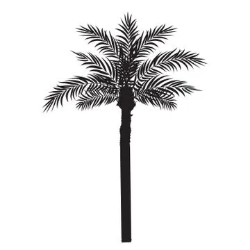 Beautiful Palm Tree Leaf Silhouette Background Vector Illustration Stock Illustration