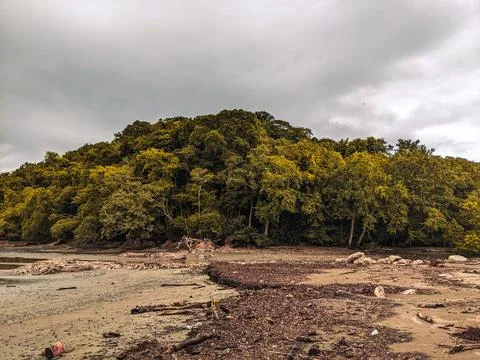 Beautiful palm tree lined beach views Costa Rica Foto stock