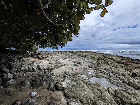 Beautiful palm tree lined beach views Costa Rica Foto stock
