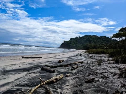 Beautiful palm tree lined beach views Costa Rica Foto stock