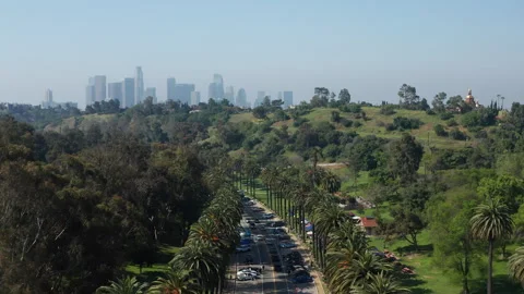 Beautiful palm tree lined road in Los Angeles park with downtown towers Stock Footage 273835665
