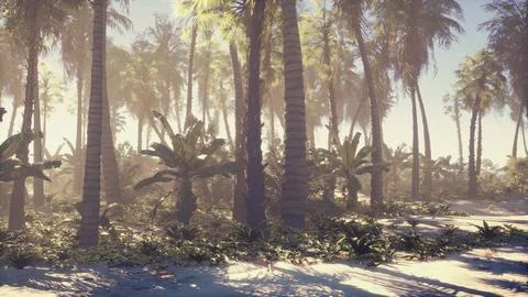 A beautiful palm tree oasis on a sandy beach Ilustración de archivo