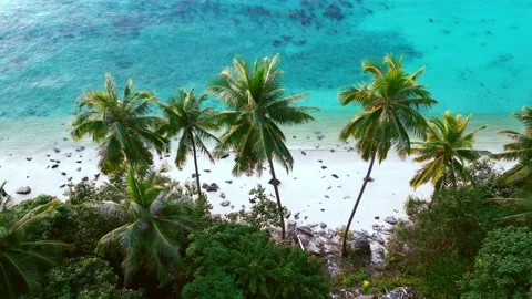 Beautiful palm trees on background of white sand beach and fantastic turquoise Stock Footage 234992796