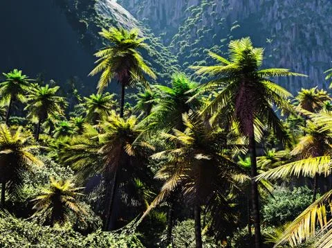 Beautiful palm trees Illustration