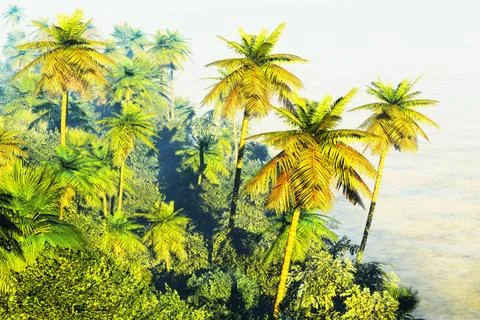 Beautiful palm trees Stock Illustration