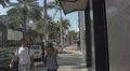 Beautiful palm trees on Rodeo Drive, Beverly Hills 4k or 4k+ Resolution