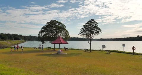 Beautiful Pan View of Lakeside Trees Stock Footage 158157968