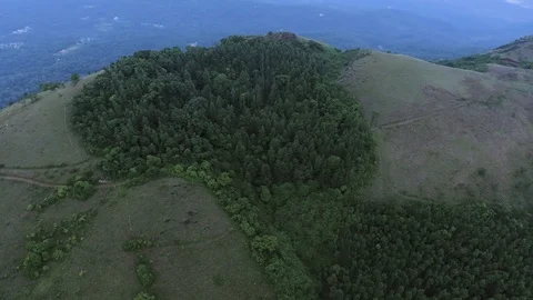 Beautiful panning over thick forest in a mountain top Vídeos de archivo 90896673