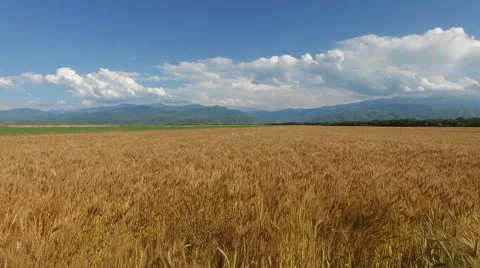 Beautiful panorama of the mountains and fields Stock Footage 67245332