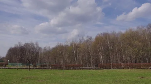 Beautiful panorama of the spring forest, blue sky and green grass Stock Footage