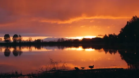 Beautiful panoramic sunset reflecting on small pond in North Pole, Alaska. Stock Footage 139150250