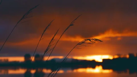 Beautiful panoramic sunset reflecting on small pond in North Pole, Alaska. Stock Footage 139150292