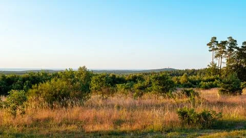 Beautiful panoramic view of the Baltic Sea from the viewpoint. Stock Photos