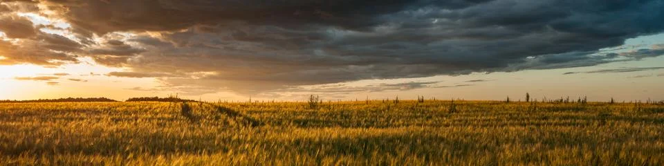 Beautiful panoramic view of the dramatic sunset over the summer wide grain ag Stock Photos