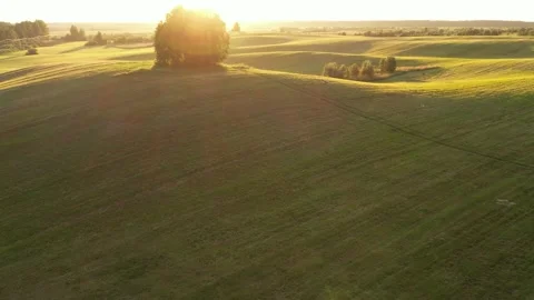 Beautiful panoramic view of the meadow at sunset Stock Footage 156805561