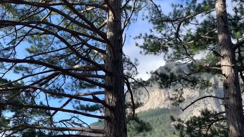Beautiful panoramic view of Mount Ai-Petri. Stock Footage 122200803