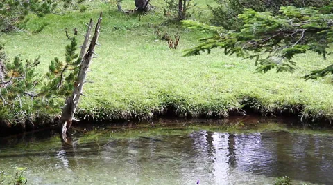 Beautiful panoramic view of a mountain landscape Stock Footage 34453242
