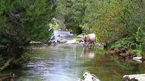 Beautiful panoramic view of a mountain landscape Stock Footage 34454475