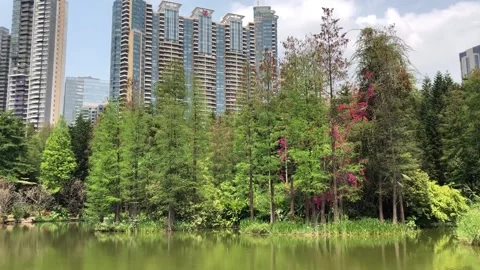 Beautiful panoramic view of the park and skyscrapers Stock Footage 136184500