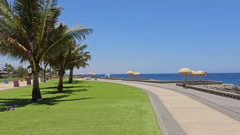 Beautiful park in the beach side with grass and coconut trees Stock Footage 244802715