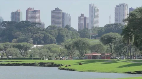 Beautiful park with buildings in back Stock Footage 63075556