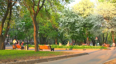 Beautiful Park Video stock 30836734