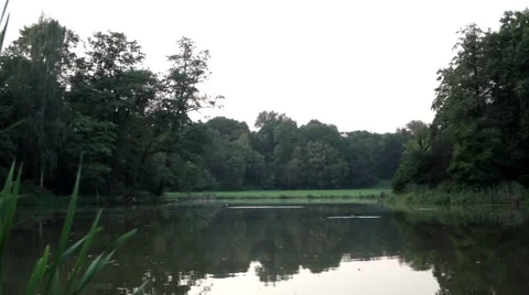 Beautiful park Video stock 67625935