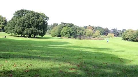 A Beautiful Park 스톡 동영상 139574543