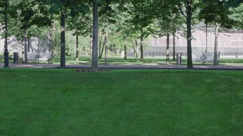 Beautiful park with green spaces. Automatic lawn watering system on a background Stock Footage 141316712