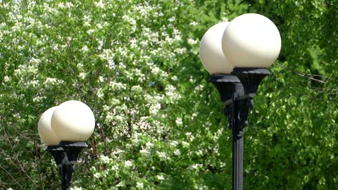 Beautiful Park lights. Stock Footage 108850747