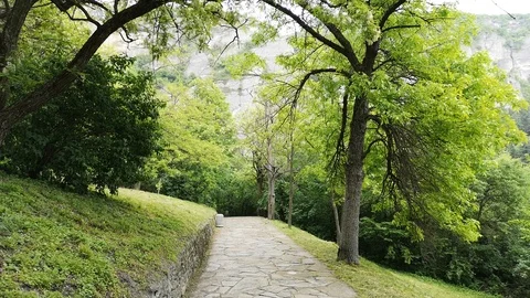 The beautiful park in mountains Stock Footage 109065964