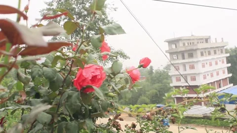 Beautiful park of Nepal Stock Footage 288370410