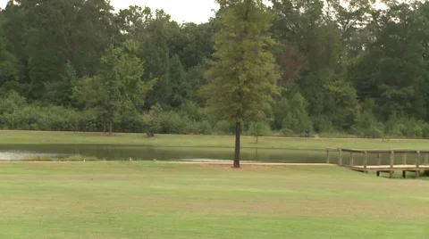 Beautiful park pan Stock Footage 916541