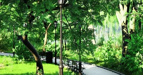 Beautiful park pathway surrounded by lush greenery and trees Stock Illustration