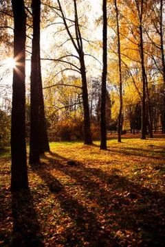 Beautiful park Stock Photos