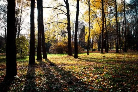Beautiful park 스톡 사진