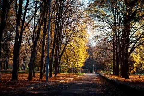 Beautiful park Stock-Fotos