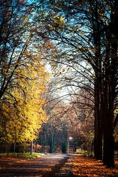 Beautiful park Stock-Fotos