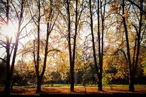 Beautiful park Stockfoto's