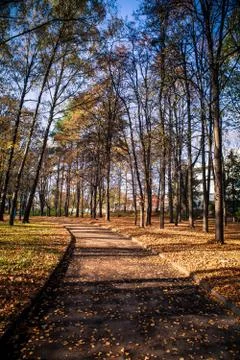 Beautiful park Stock Photos