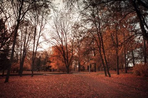 Beautiful park Stockfoto's