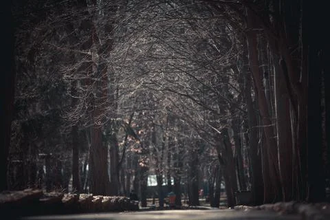 Beautiful park 스톡 사진