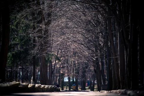 Beautiful park Stock-Fotos