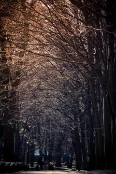 Beautiful park Stock Photos