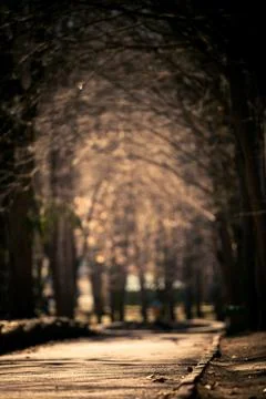 Beautiful park Stock-Fotos