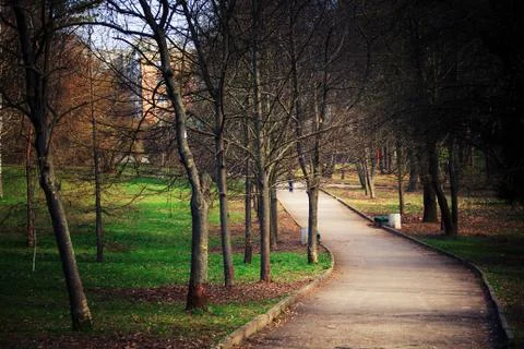 Beautiful park 스톡 사진