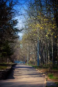 Beautiful park Foto stock