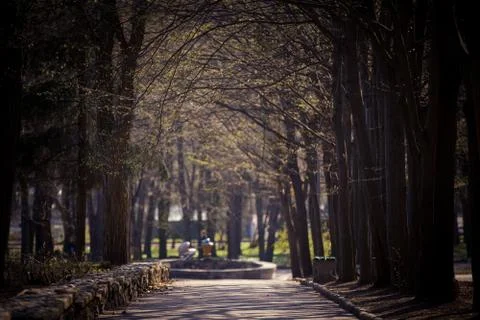 Beautiful park Stock-Fotos
