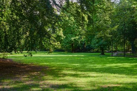 Beautiful park Foto stock
