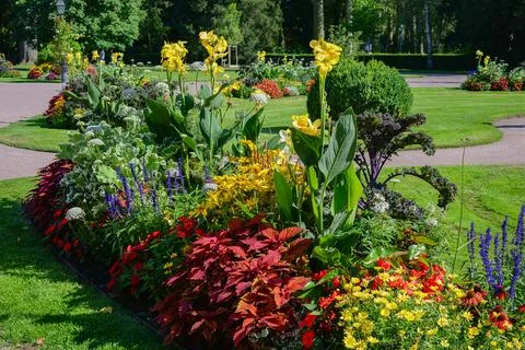 Beautiful park Stock Photos